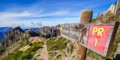 Pico Ruivo: highest point of Madeira (1861 m)
